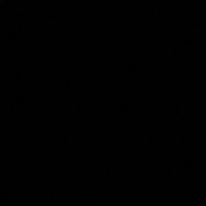 Meet your Posher, Lily